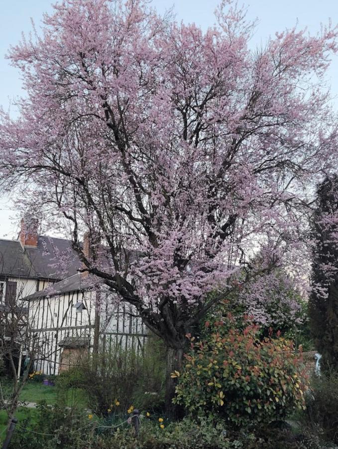 Les Gites De L'Herperie Blicourt ภายนอก รูปภาพ